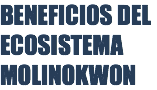 BENEFICIOS DEL ECOSISTEMA MOLINOKWON