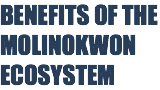 BENEFITS OF THE MOLINOKWON ECOSYSTEM